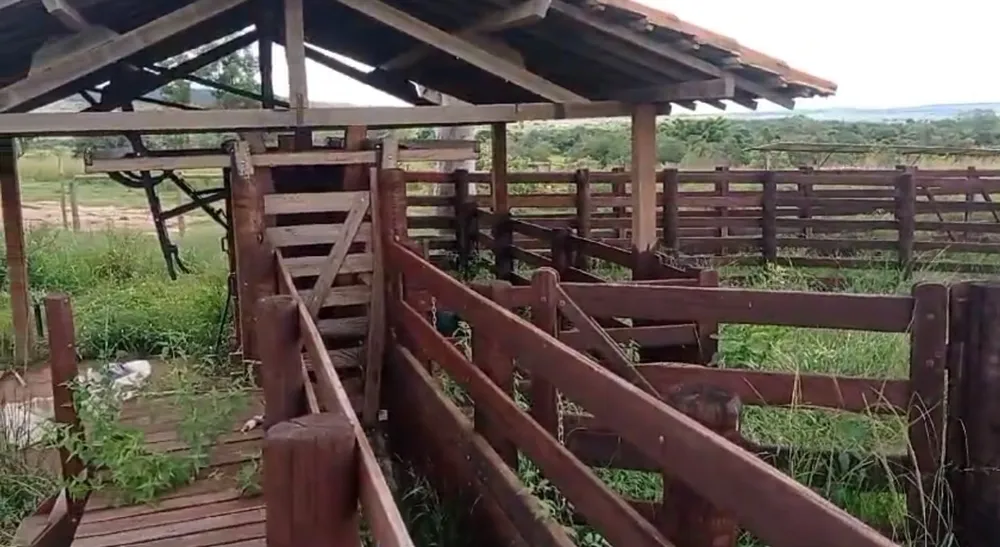 Fazenda, 216 hectares - Foto 2