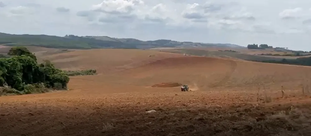Fazenda, 217 hectares - Foto 11