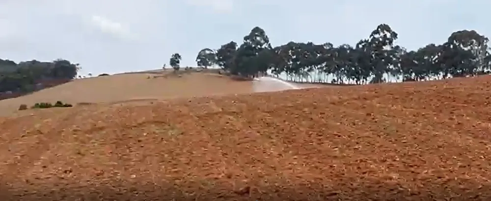 Fazenda, 217 hectares - Foto 4