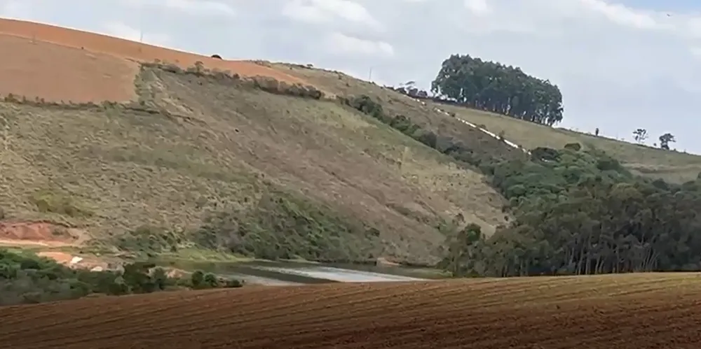 Fazenda, 217 hectares - Foto 4