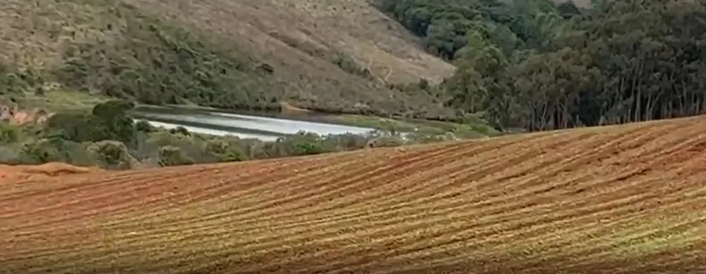 Fazenda, 217 hectares - Foto 3
