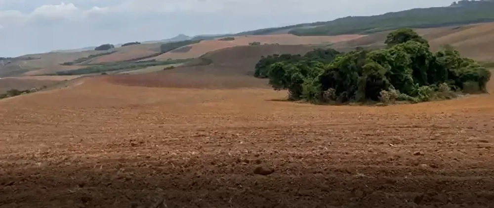 Fazenda, 217 hectares - Foto 1