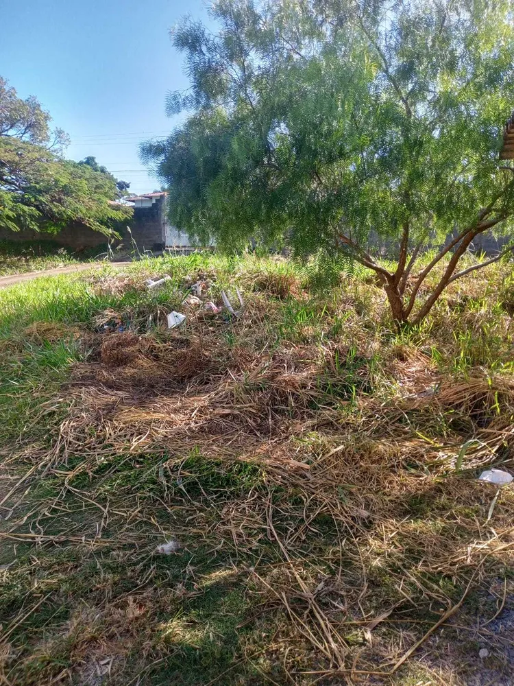 Terreno, 360 m² - Foto 4