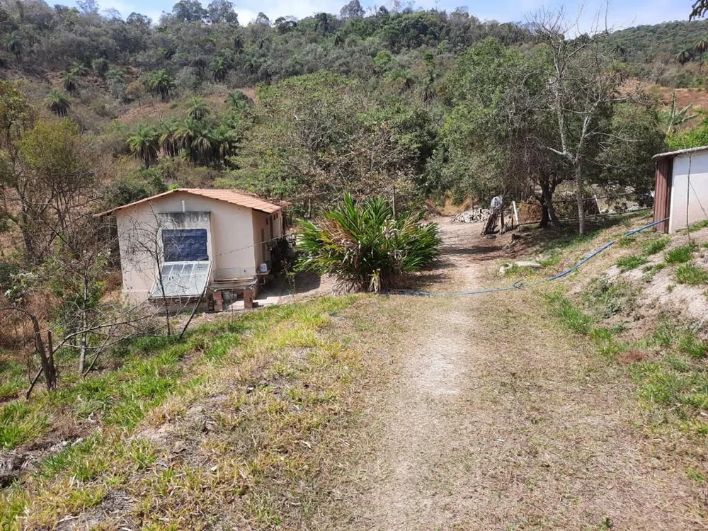 Chácara, 4 quartos - Foto 4