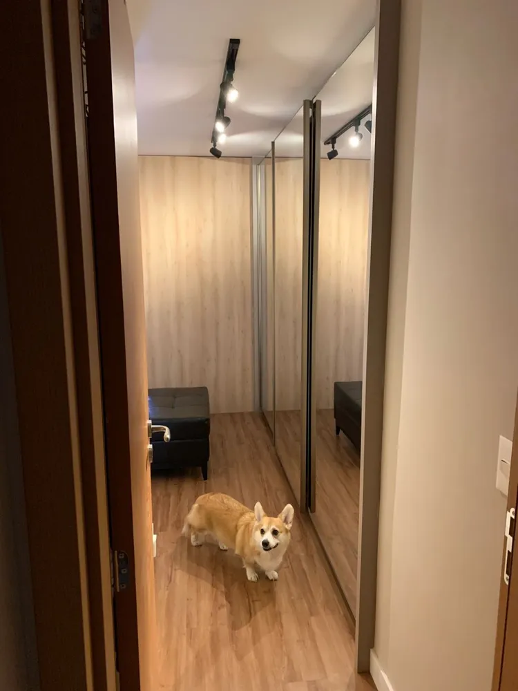 Apartamento, 2 quartos, 221 m² - Foto 11
