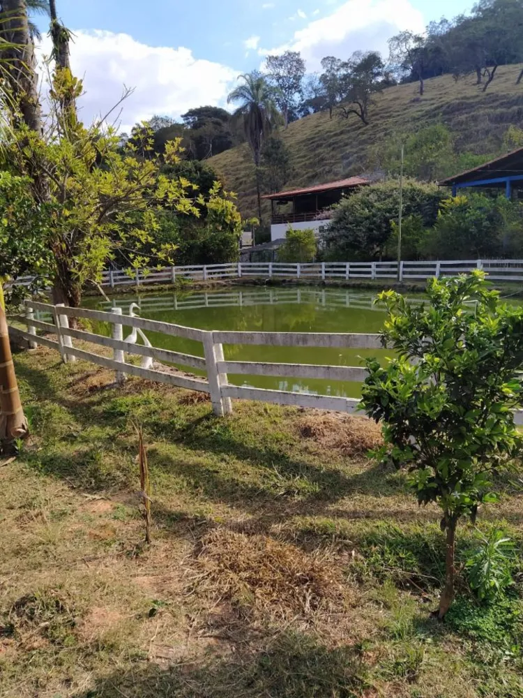 Chácara, 6 quartos, 5 hectares - Foto 6