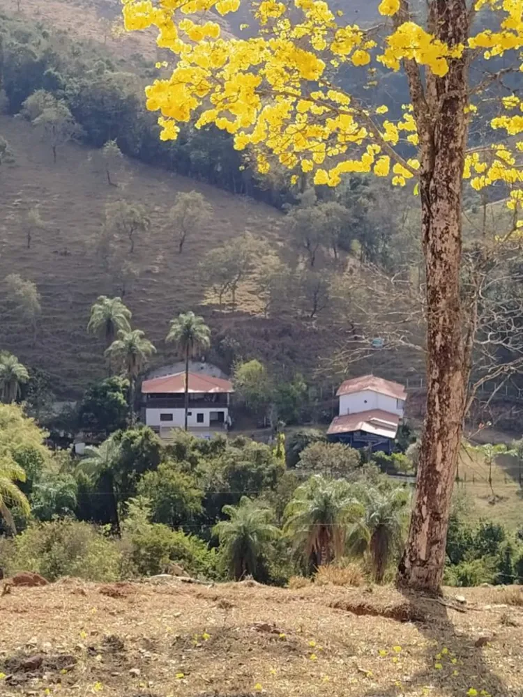 Chácara, 6 quartos, 5 hectares - Foto 5