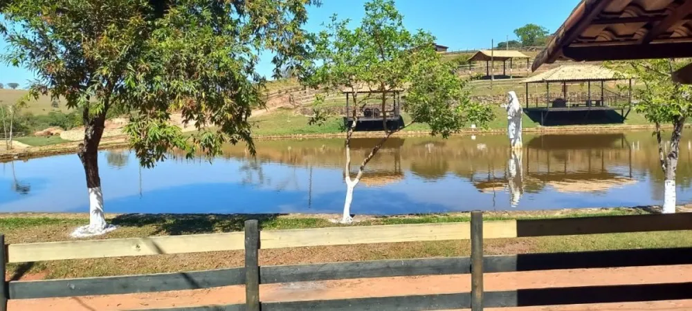 Fazenda, 6 hectares - Foto 15