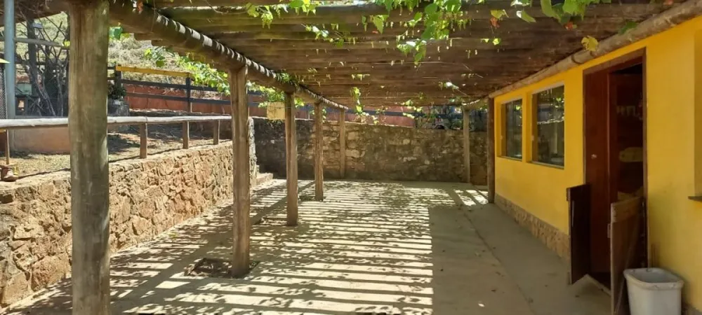 Fazenda, 6 hectares - Foto 4