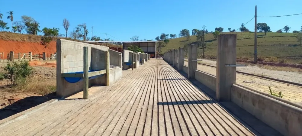 Fazenda, 6 hectares - Foto 1