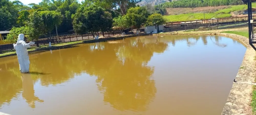 Fazenda, 6 hectares - Foto 6
