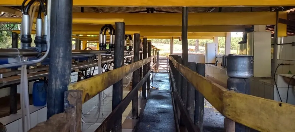 Fazenda, 6 hectares - Foto 4