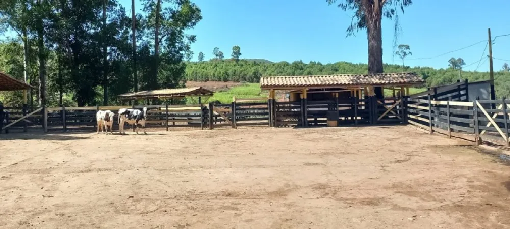 Fazenda, 6 hectares - Foto 13