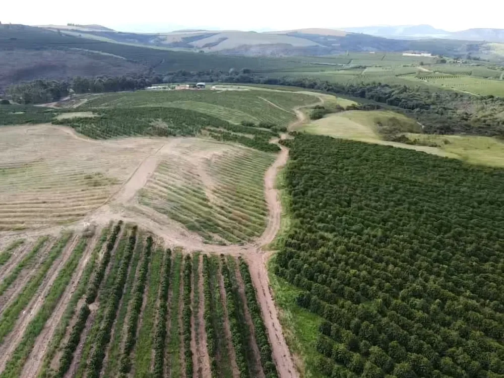 Fazenda, 94 hectares - Foto 8