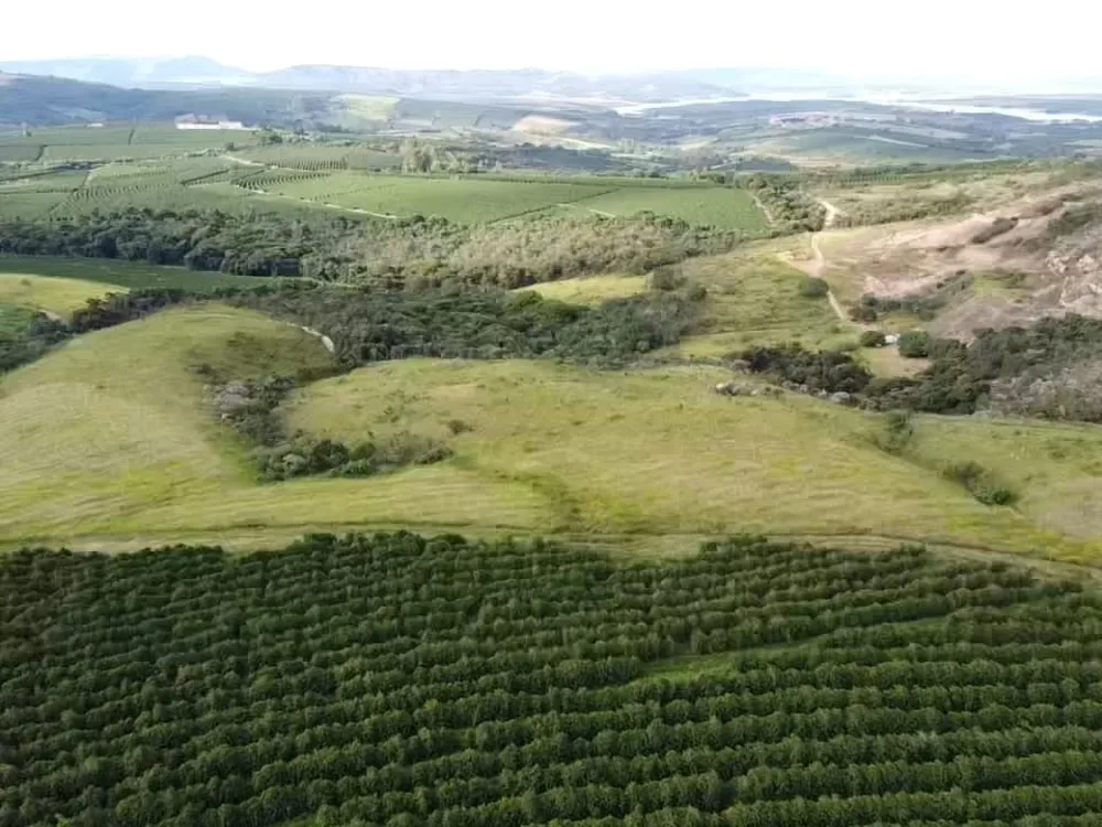Fazenda, 94 hectares - Foto 7