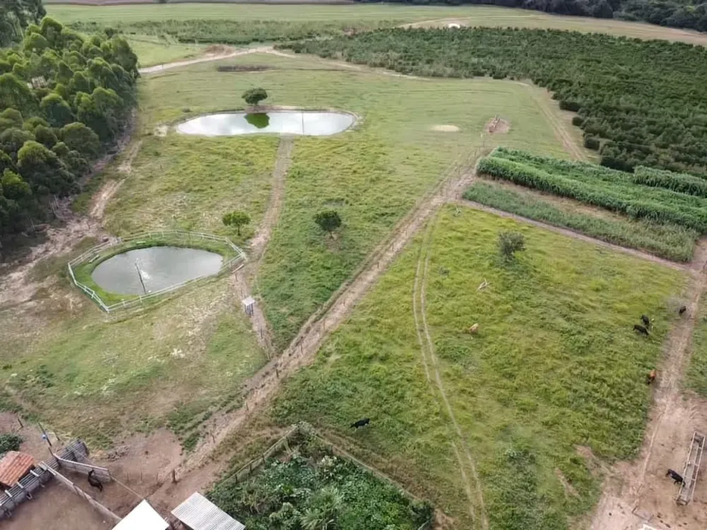 Fazenda, 94 hectares - Foto 3