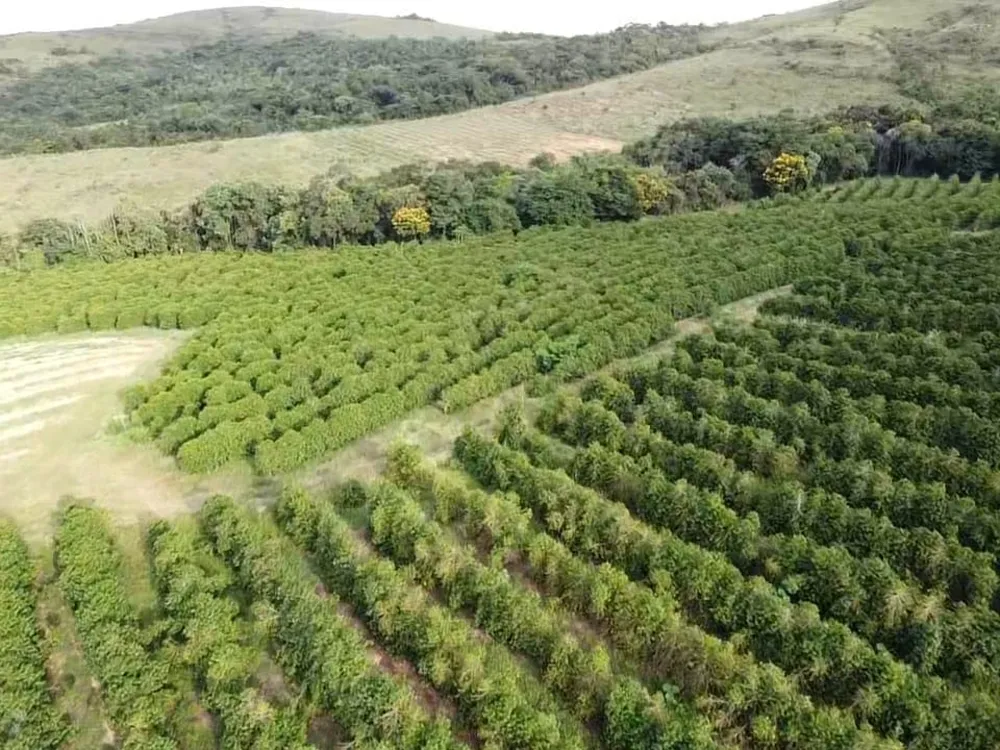 Fazenda, 94 hectares - Foto 1