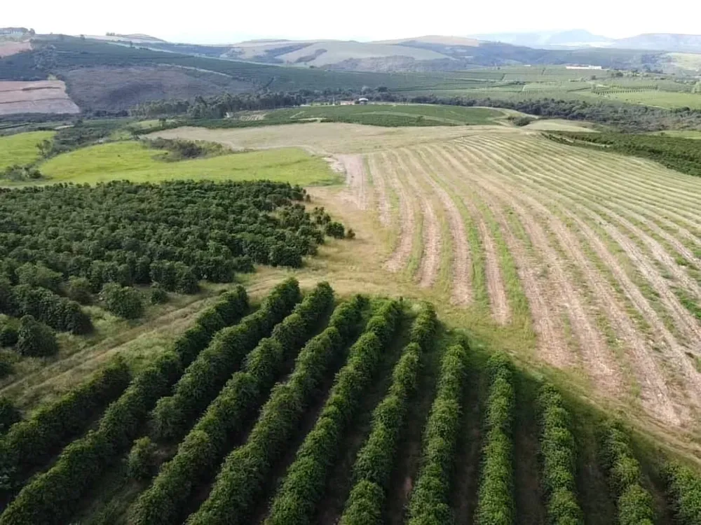 Fazenda, 94 hectares - Foto 2