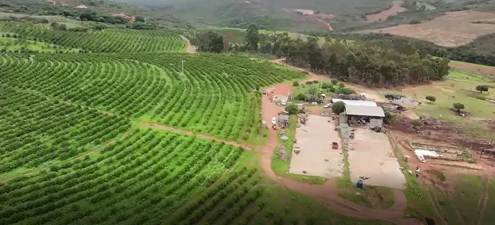 Fazenda, 94 hectares - Foto 2