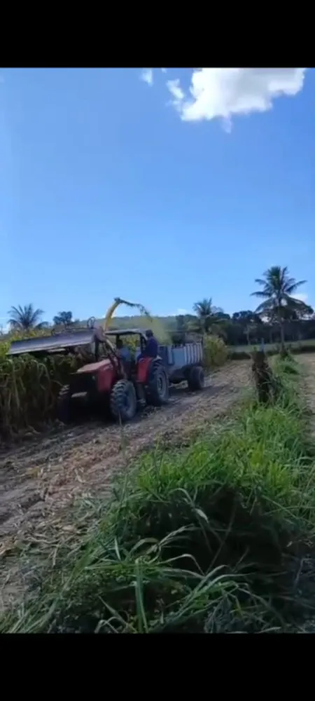 Fazenda, 1 quarto - Foto 9