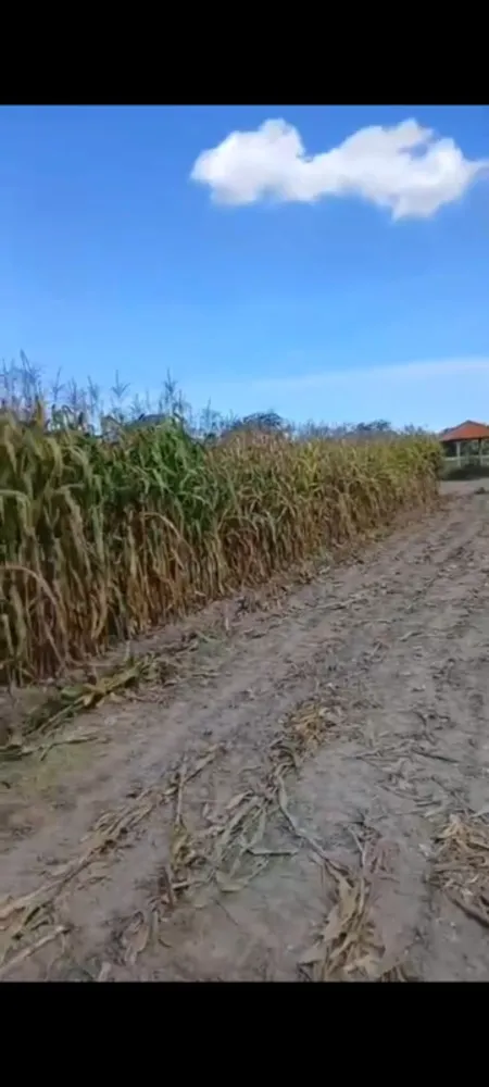 Fazenda, 1 quarto - Foto 10