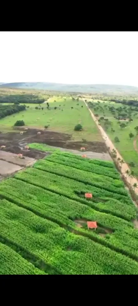 Fazenda, 1 quarto - Foto 3