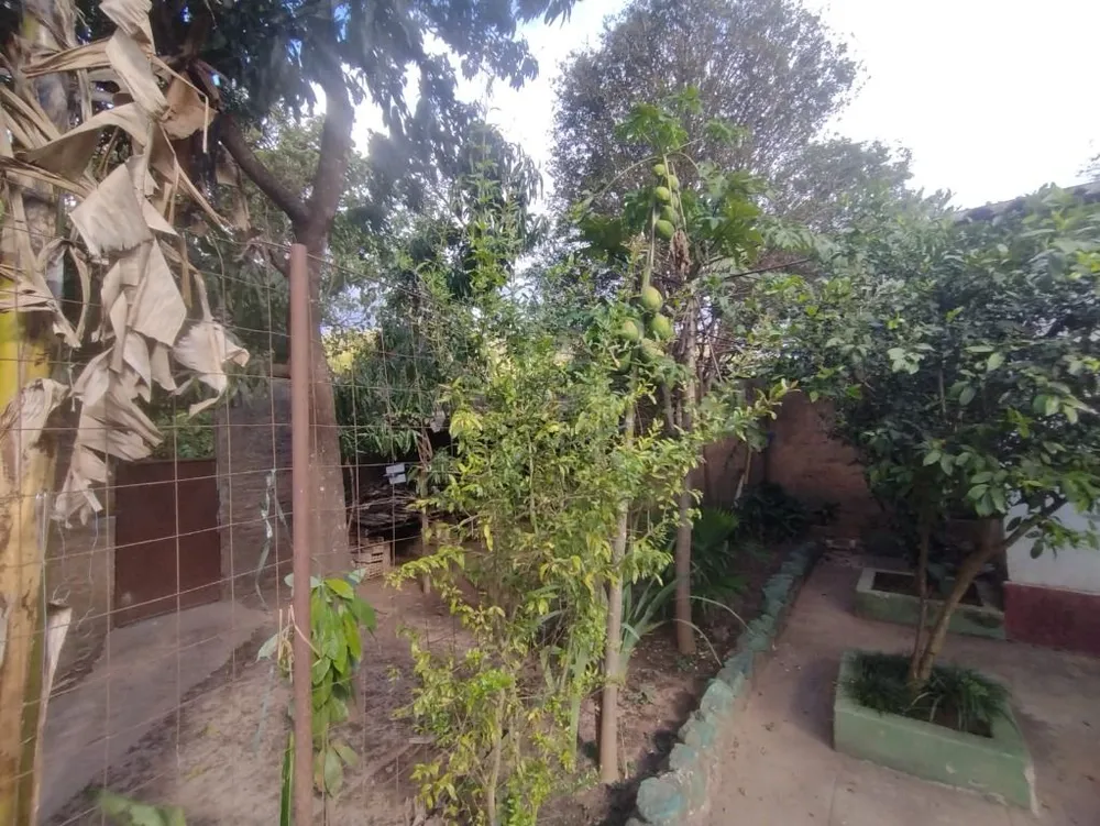 Casa, 3 quartos, 360 m² - Foto 4