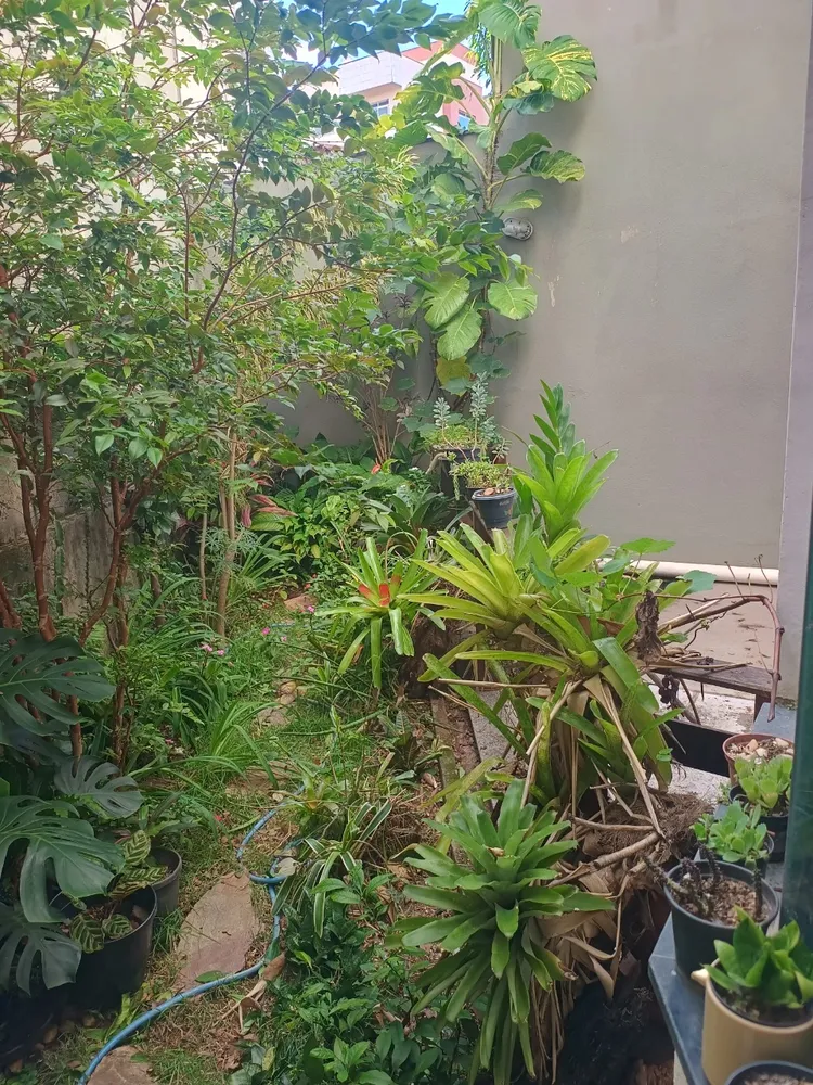 Casa, 3 quartos, 250 m² - Foto 16