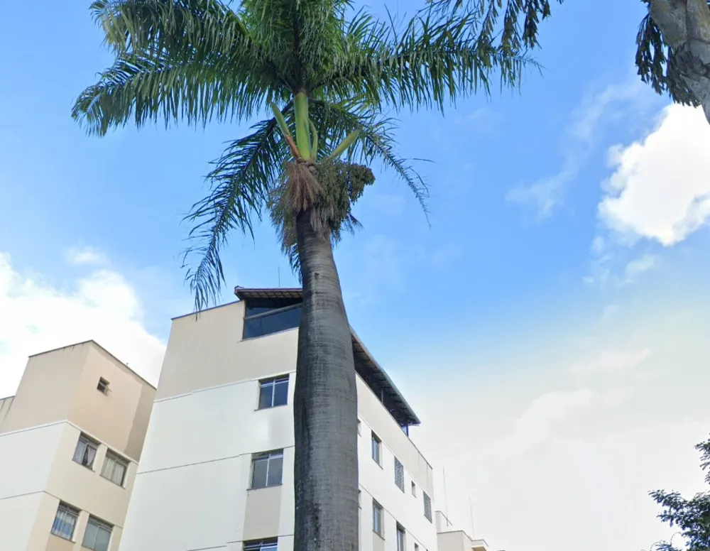 Cobertura, 3 quartos, 80 m² - Foto 8