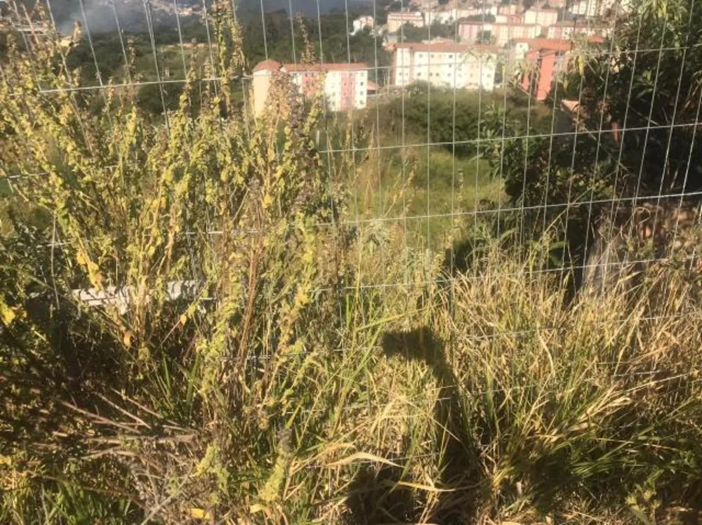 Terreno, 501 m² - Foto 8