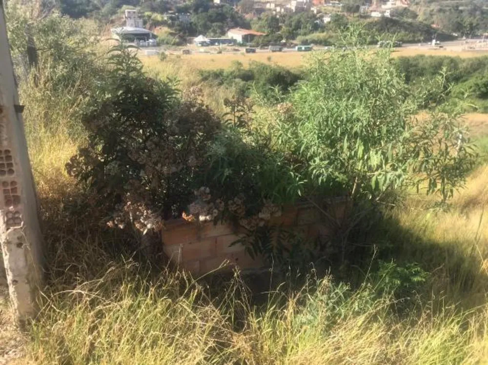 Terreno, 501 m² - Foto 6