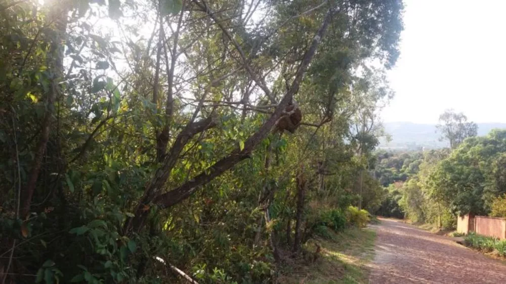 Terreno à venda, 1000m² - Foto 3