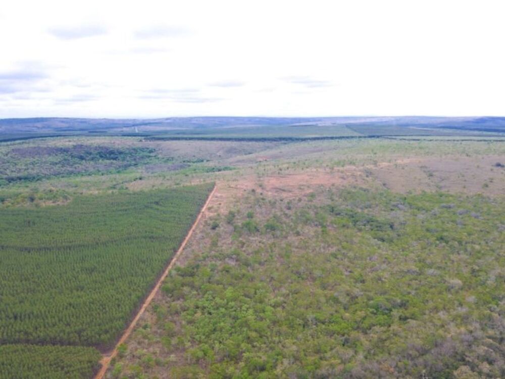 Fazenda à venda com 1 quarto, 2620m² - Foto 8