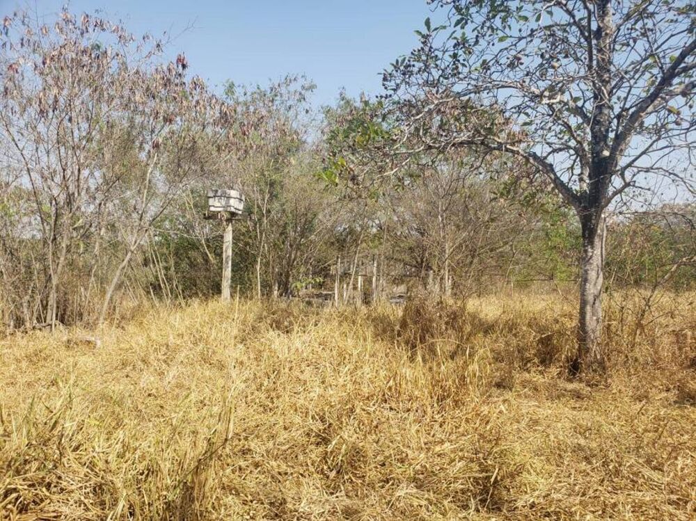 Fazenda à venda com 1 quarto, 2620m² - Foto 3