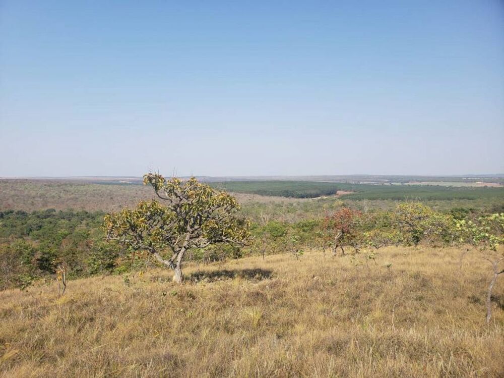 Fazenda à venda com 1 quarto, 2620m² - Foto 4