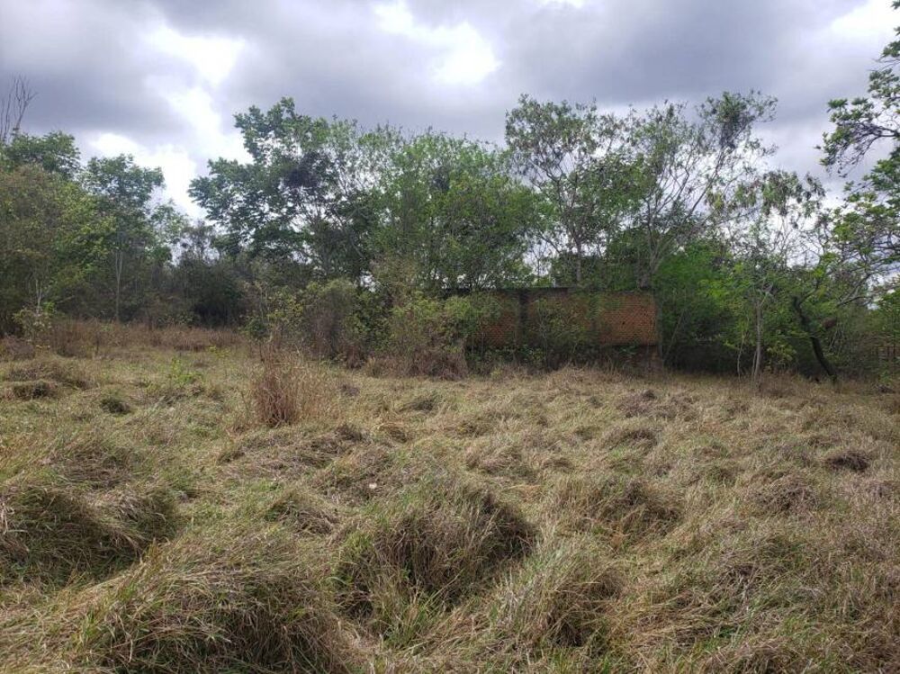 Fazenda à venda com 1 quarto, 2620m² - Foto 2