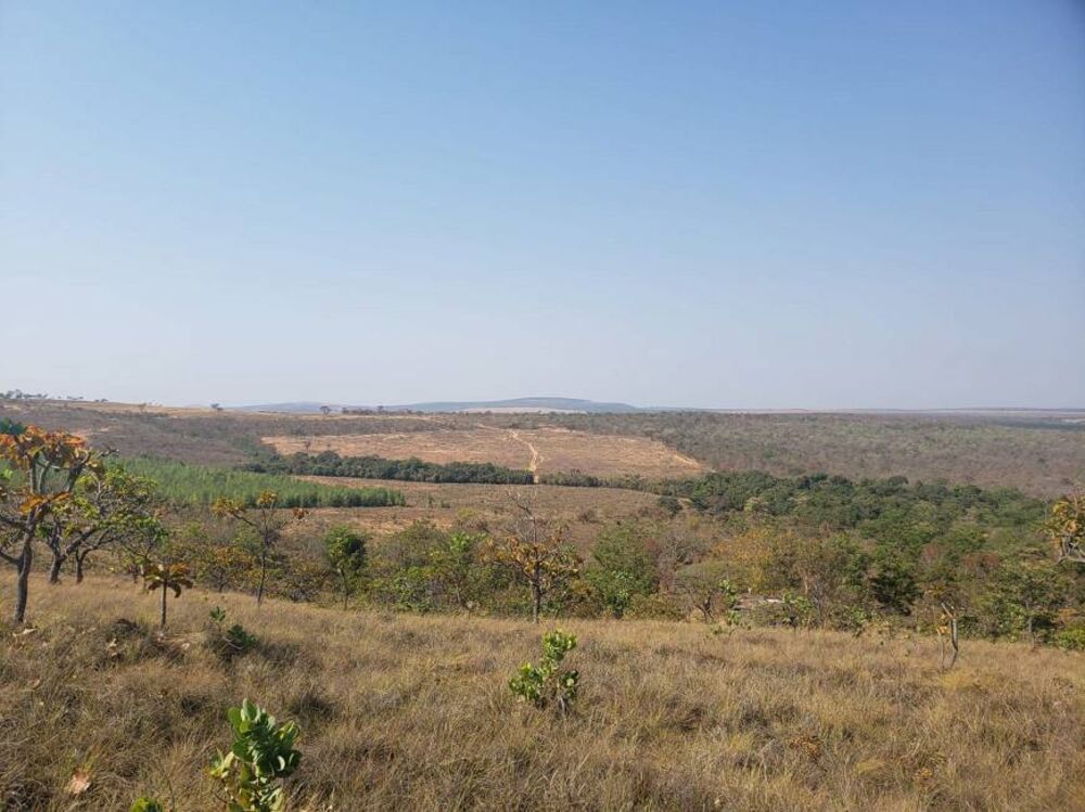 Fazenda à venda com 1 quarto, 2620m² - Foto 6