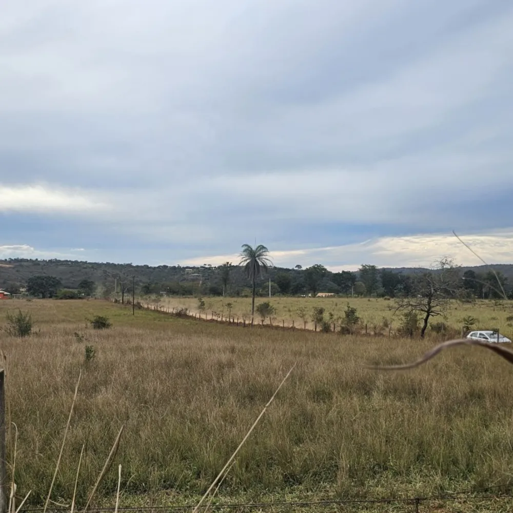 Terreno, 5 hectares - Foto 1