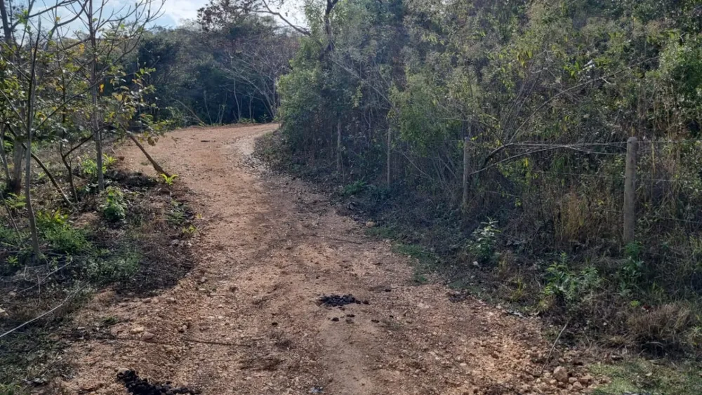 Chácara, 2 quartos, 2 hectares - Foto 1