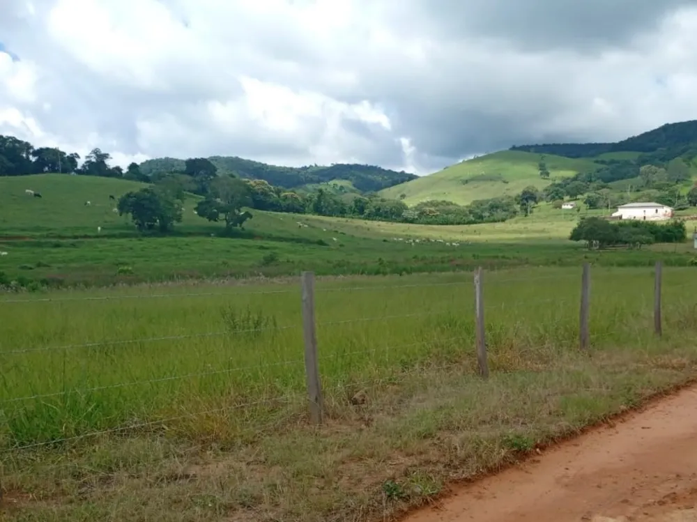 Fazenda, 257 hectares - Foto 2