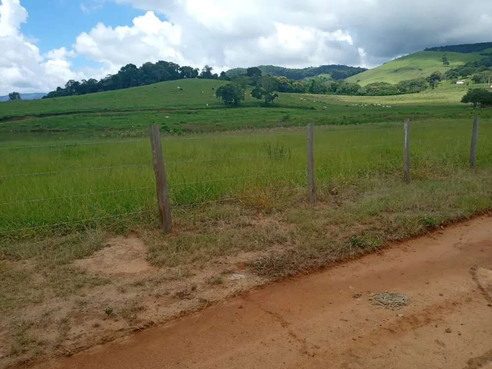 Fazenda, 257 hectares - Foto 8
