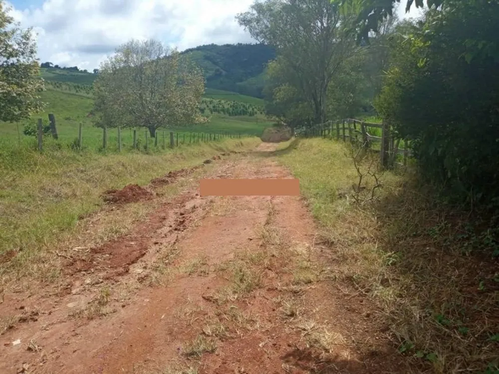 Fazenda, 257 hectares - Foto 9