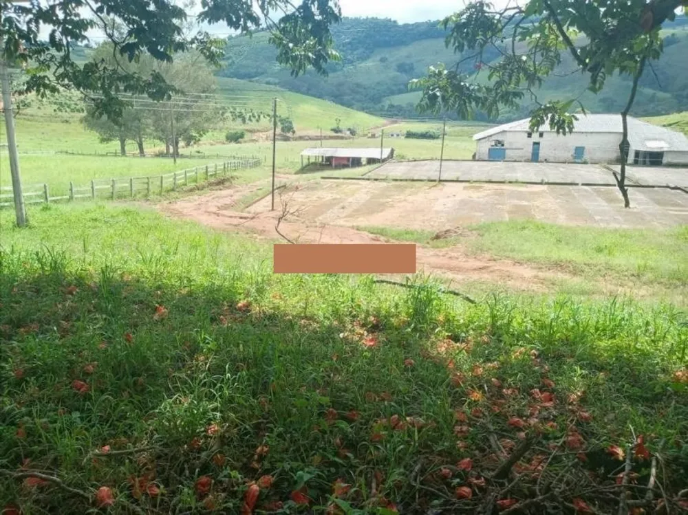 Fazenda, 257 hectares - Foto 7