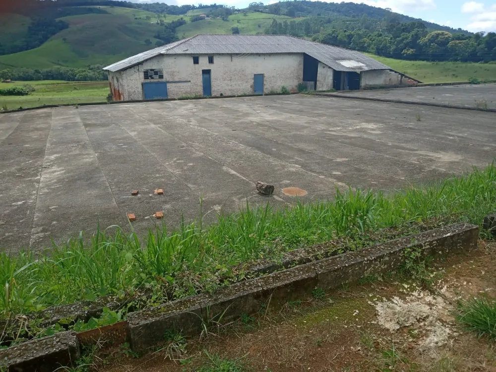 Fazenda, 257 hectares - Foto 10