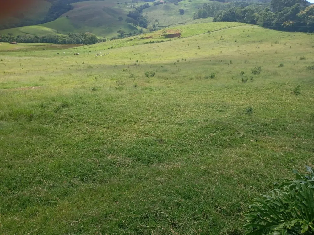 Fazenda, 257 hectares - Foto 1