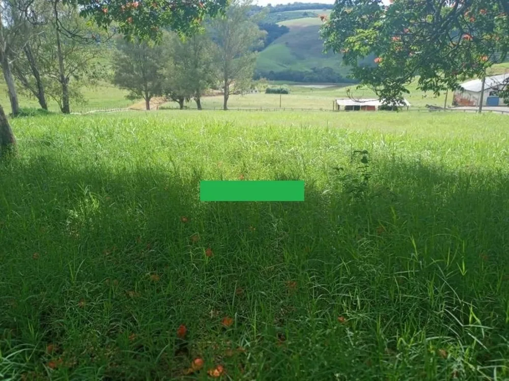 Fazenda, 257 hectares - Foto 6
