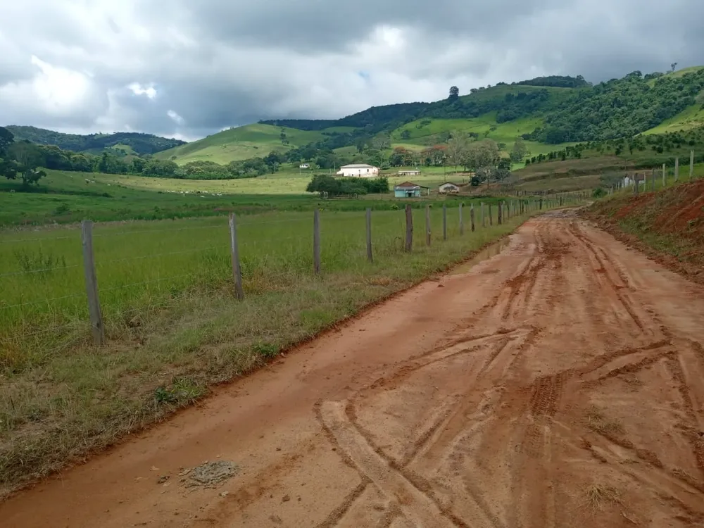 Fazenda, 257 hectares - Foto 7