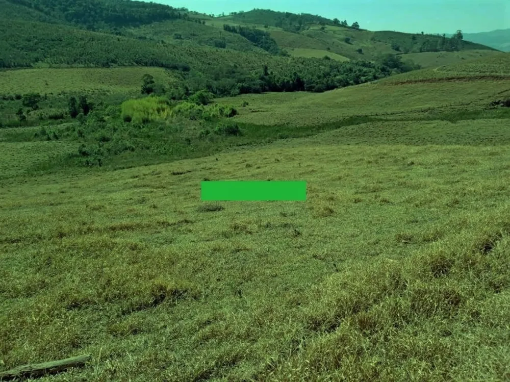 Fazenda, 257 hectares - Foto 3