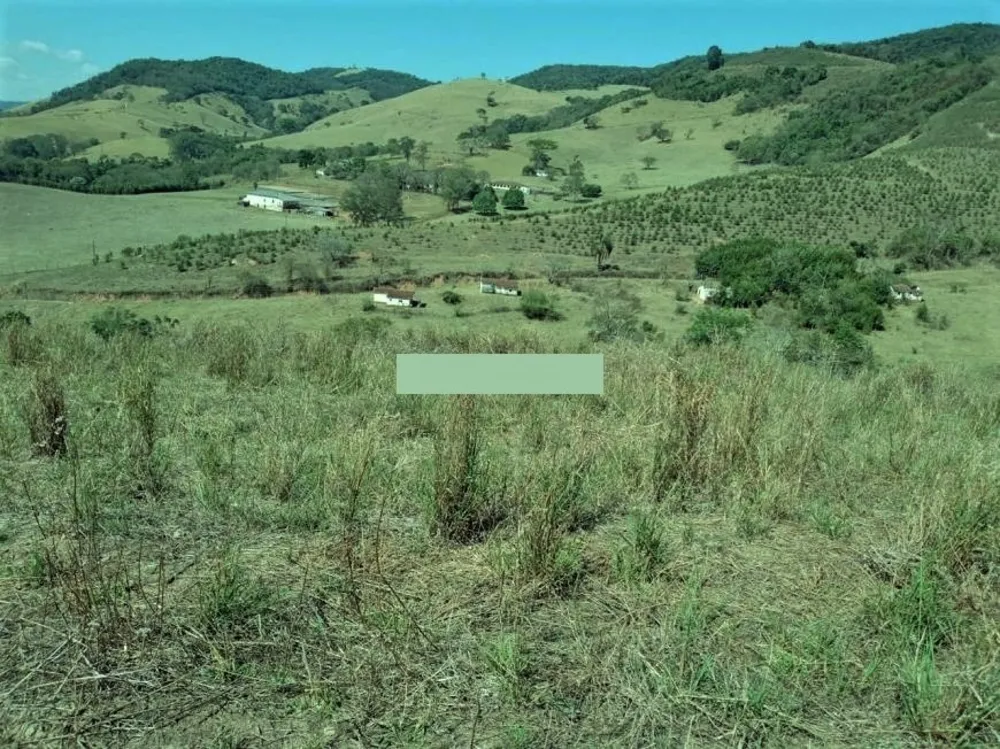Fazenda, 257 hectares - Foto 5