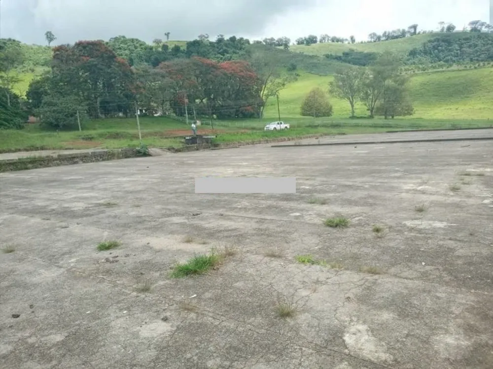 Fazenda, 257 hectares - Foto 12